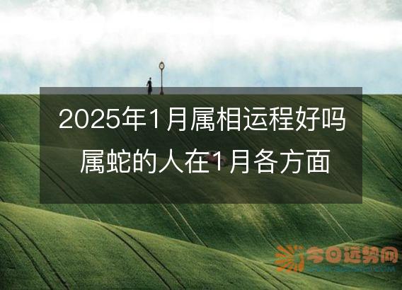 2025年1月属相运程好吗 属蛇的人在1月各方面运势好吗