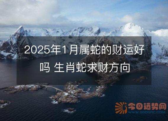 2025年1月属蛇的财运好吗 生肖蛇求财方向