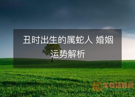 丑时出生的属蛇人 婚姻运势解析