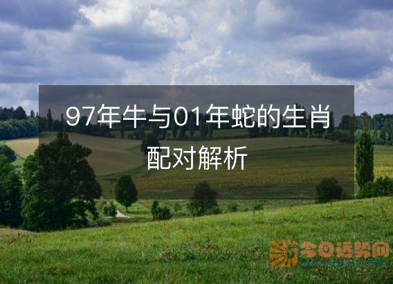 97年牛与01年蛇的生肖配对解析