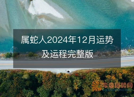 属蛇人2025年12月运势及运程完整版