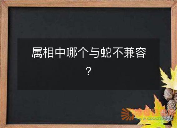 属相中哪个与蛇不兼容?