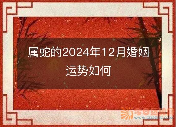 属蛇的2025年12月婚姻运势如何