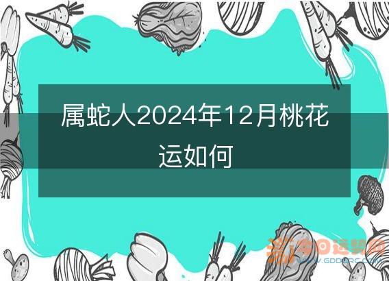 属蛇人2025年12月桃花运如何