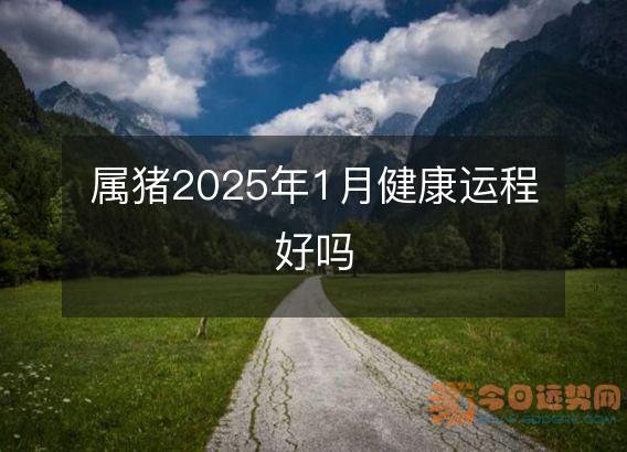 属猪2025年1月健康运程好吗