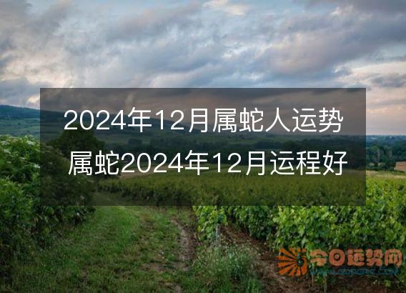 2025年12月属蛇人运势 属蛇2025年12月运程好吗