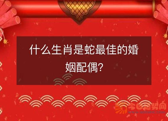 什么生肖是蛇最佳的婚姻配偶?