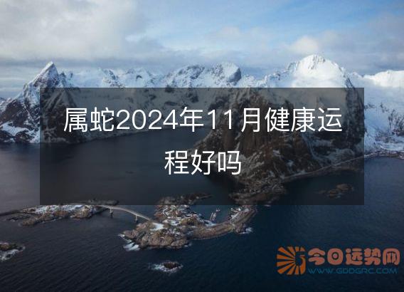 属蛇2025年11月健康运程好吗