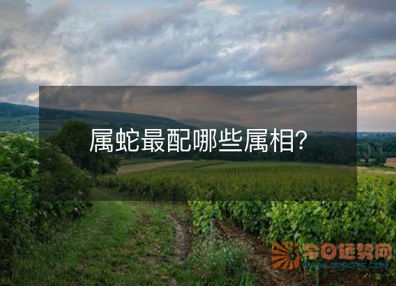 属蛇最配哪些属相?