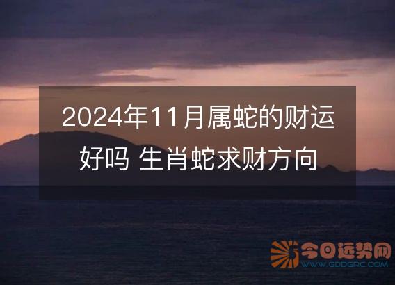 2025年11月属蛇的财运好吗 生肖蛇求财方向