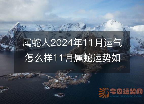 属蛇人2025年11月运气怎么样11月属蛇运势如何