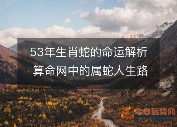 53年生肖蛇的命运解析 算命网中的属蛇人生路