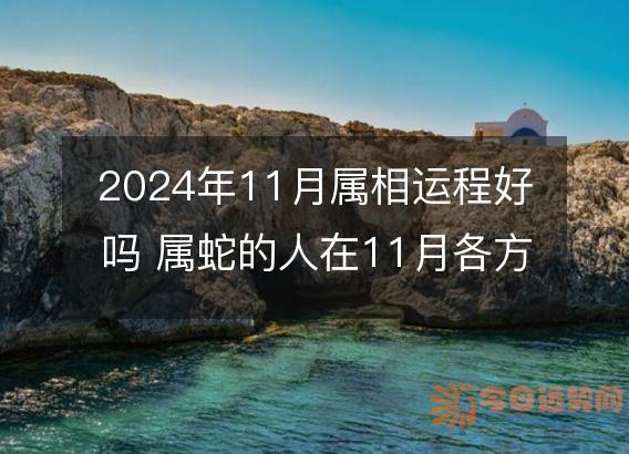 2024年11月属相运程好吗 属蛇的人在11月各方面运势好吗