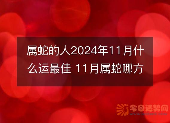 属蛇的人2024年11月什么运最佳 11月属蛇哪方面运势最好