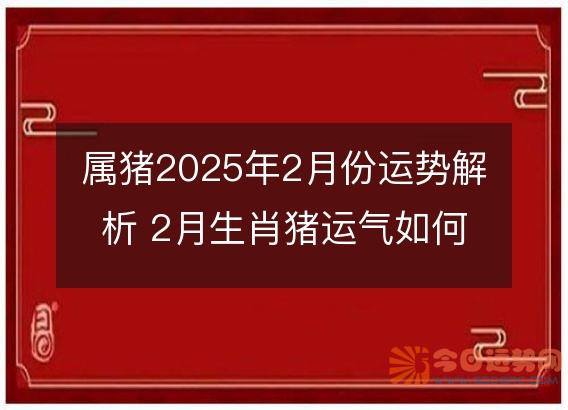 属猪2025年2月份运势解析 2月生肖猪运气如何
