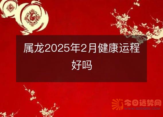 属龙2025年2月健康运程好吗