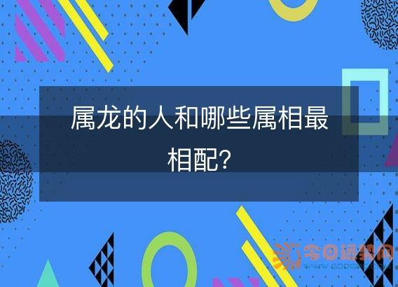 属龙的人和哪些属相最相配?