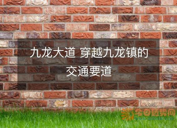 九龙大道 穿越九龙镇的交通要道