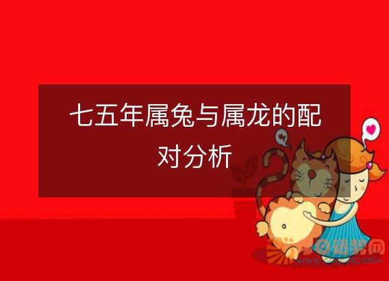 七五年属兔与属龙的配对分析