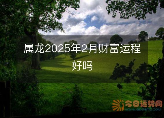 属龙2025年2月财富运程好吗