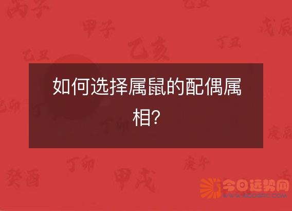 如何选择属鼠的配偶属相?