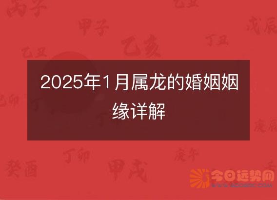 2025年1月属龙的婚姻姻缘详解