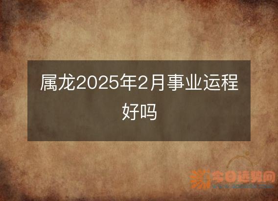 属龙2025年2月事业运程好吗