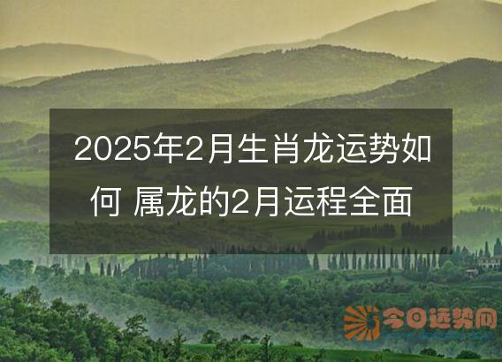 2025年2月生肖龙运势如何 属龙的2月运程全面分解