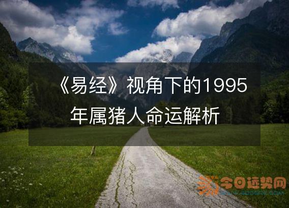 《易经》视角下的1995年属猪人命运解析