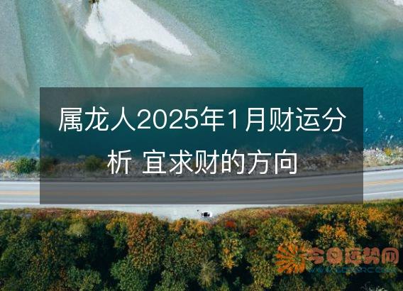 属龙人2025年1月财运分析 宜求财的方向