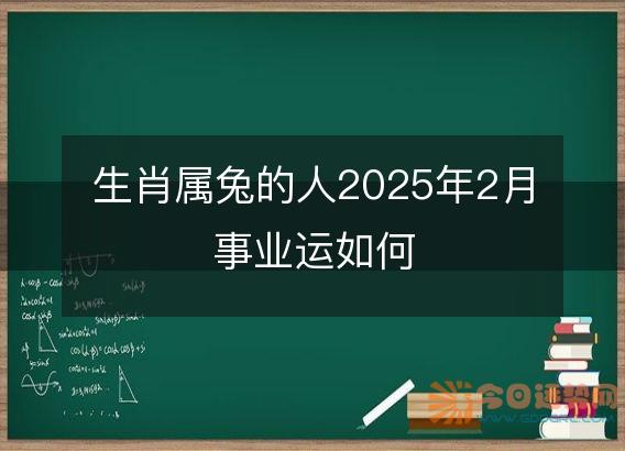 生肖属兔的人2025年2月事业运如何