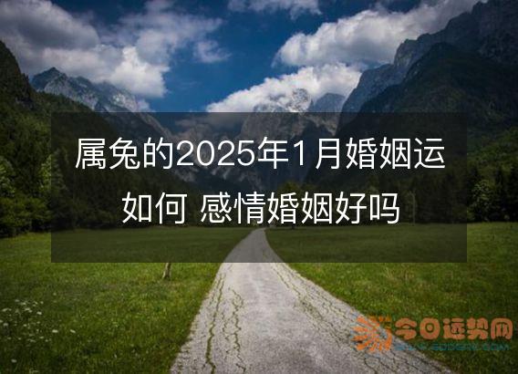 属兔的2025年1月婚姻运如何 感情婚姻好吗