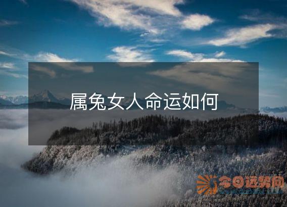 属兔女人命运如何