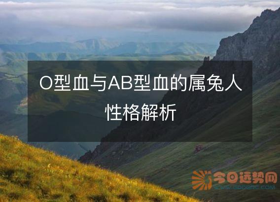 O型血与AB型血的属兔人性格解析