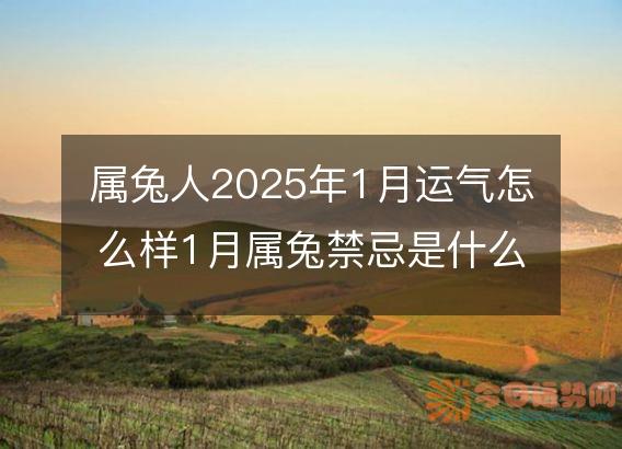 属兔人2025年1月运气怎么样1月属兔禁忌是什么