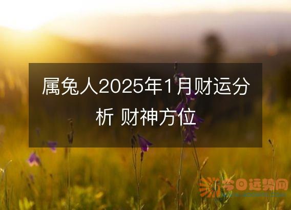 属兔人2025年1月财运分析 财神方位