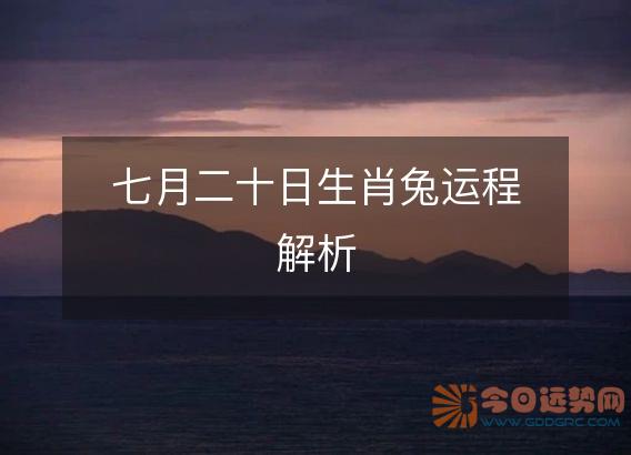 七月二十日生肖兔运程解析
