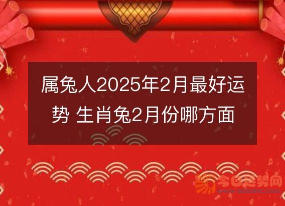 属兔人2025年2月最好运势 生肖兔2月份哪方面运气好