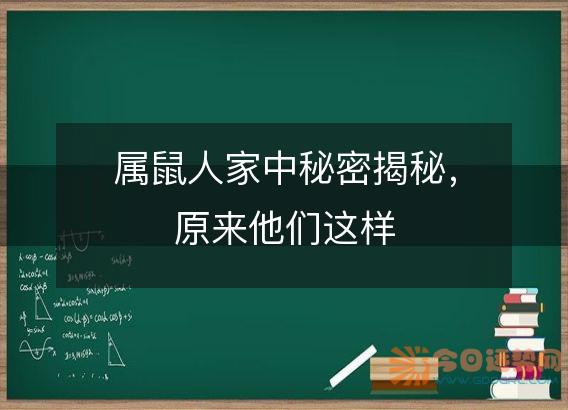 属鼠人家中秘密揭秘,原来他们这样