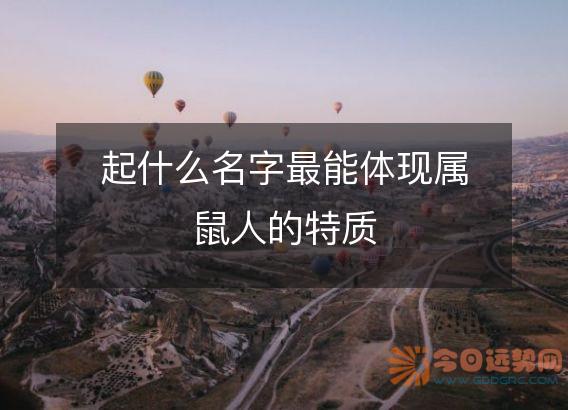 起什么名字最能体现属鼠人的特质