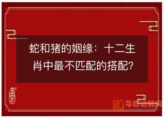 蛇和猪的姻缘:十二生肖中最不匹配的搭配?