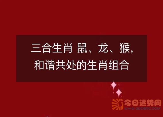 三合生肖 鼠、龙、猴,和谐共处的生肖组合