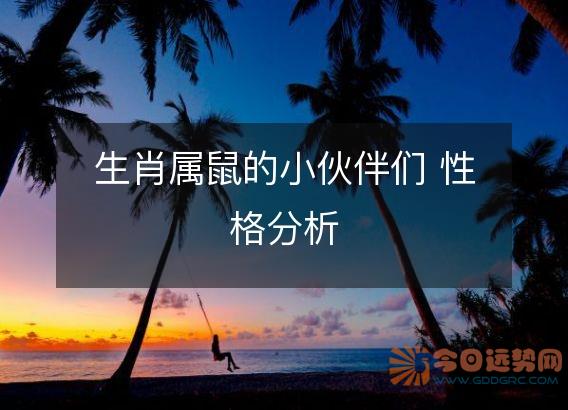 生肖属鼠的小伙伴们 性格分析