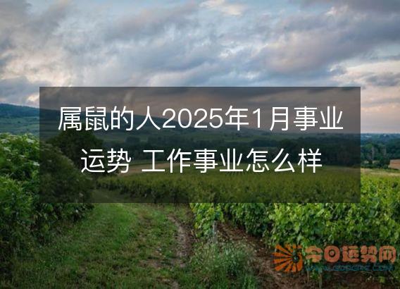 属鼠的人2025年1月事业运势 工作事业怎么样