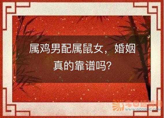 属鸡男配属鼠女,婚姻真的靠谱吗?