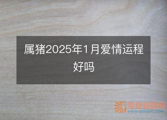 属猪2025年1月爱情运程好吗
