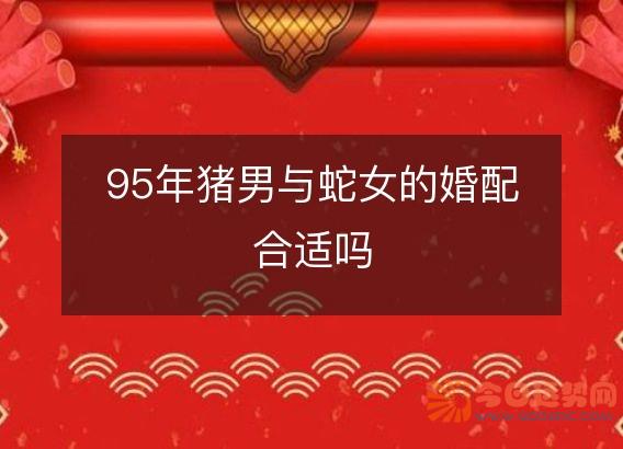 95年猪男与蛇女的婚配合适吗