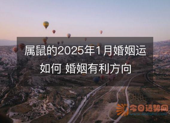 属鼠的2025年1月婚姻运如何 婚姻有利方向