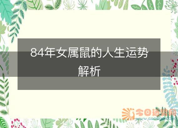 84年女属鼠的人生运势解析