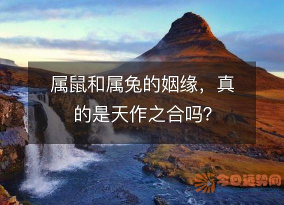 属鼠和属兔的姻缘,真的是天作之合吗?